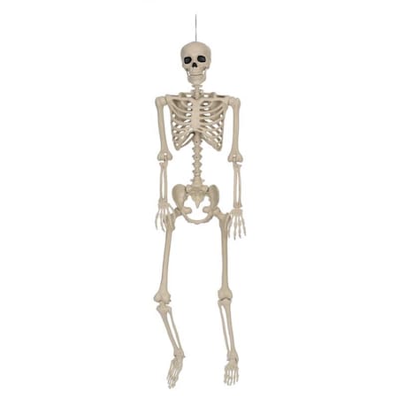 Seasons Seasons 5 ft. Skeleton Halloween Decor W83343